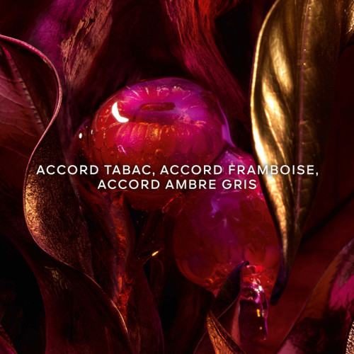 GUERLAIN Absolus Allegoria Tabac Sahara - Eau de Parfum